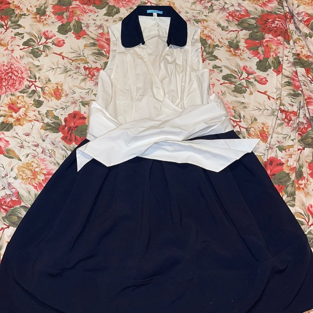 Chic flare dress